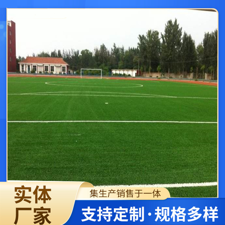达州市学校塑胶跑道人造草坪 - 方案